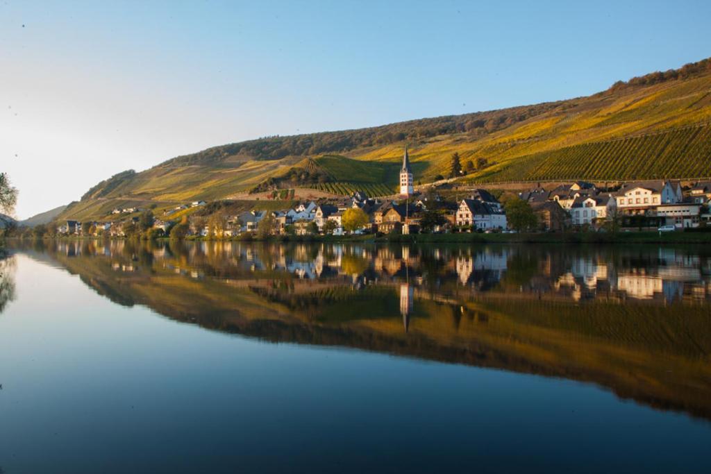 Das Haus In Spay An Der Mosel Mit Sauna Zell an der Mosel Exteriör bild