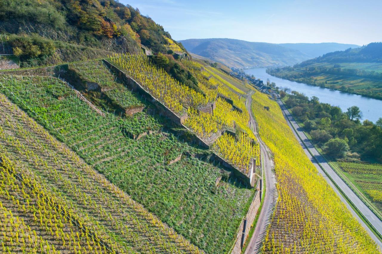 Das Haus In Spay An Der Mosel Mit Sauna Zell an der Mosel Exteriör bild